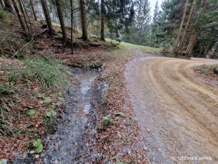 Sanacija gozdnih cest (3)